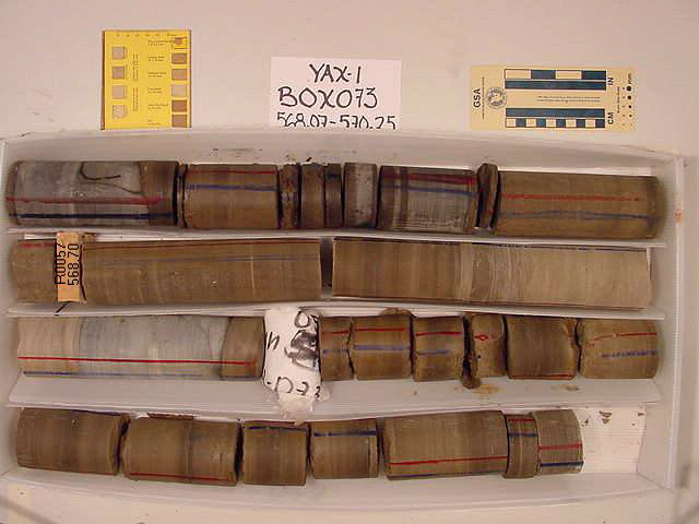 BW_B0073_YAX-1_1