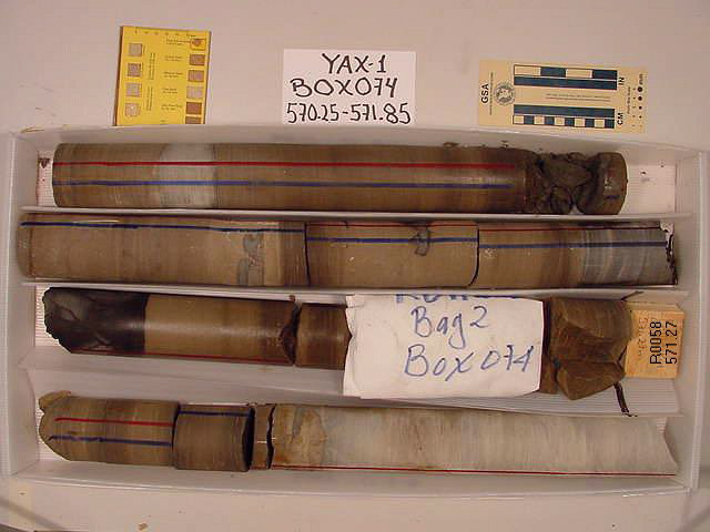 BW_B0074_YAX-1_1
