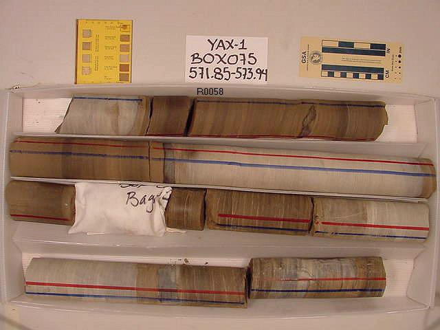 BW_B0075_YAX-1_1