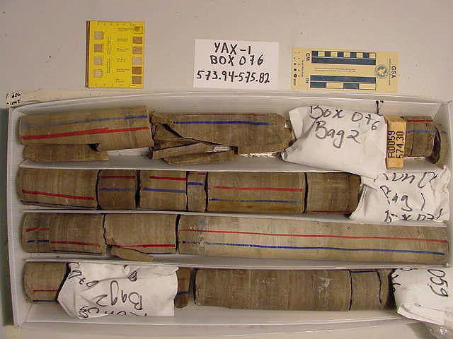 BW_B0076_YAX-1_1