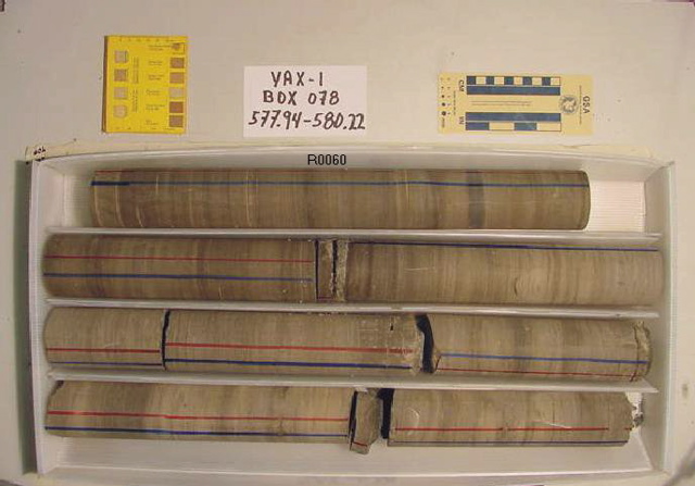 BW_B0078_YAX-1_1