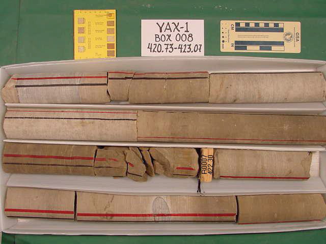 BW_B0008_YAX-1_1