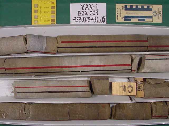 BW_B0009_YAX-1_1