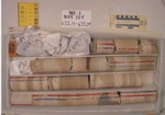 BW_B0104_YAX-1_1