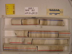 BW_B0107_YAX-1_1