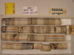 BW_B0112_YAX-1_1