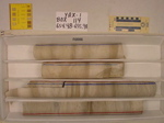 BW_B0114_YAX-1_1