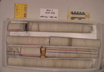 BW_B0126_YAX-1_1