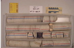BW_B0129_YAX-1_1