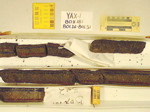 BW_B0181_YAX-1_1