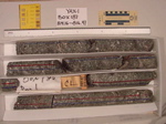 BW_B0187_YAX-1_1