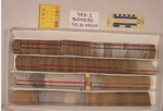 BW_B0030_YAX-1_1