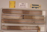 BW_B0031_YAX-1_1