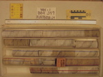 BW_B0349_YAX-1_1