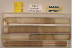 BW_B0036_YAX-1_1