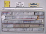 BW_B0370_YAX-1_1