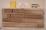BW_B0039_YAX-1_1
