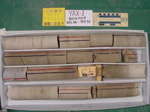BW_B0004_YAX-1_1