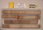 BW_B0041_YAX-1_1