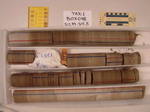 BW_B0048_YAX-1_1