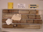 BW_B0051_YAX-1_1