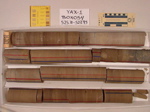 BW_B0054_YAX-1_1