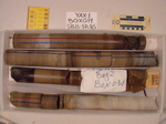 BW_B0074_YAX-1_1