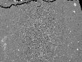 00000352