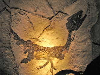 italian dinosaur