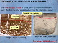Slide15