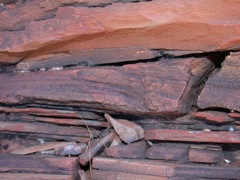 DSCN3529Conical hill ejecta