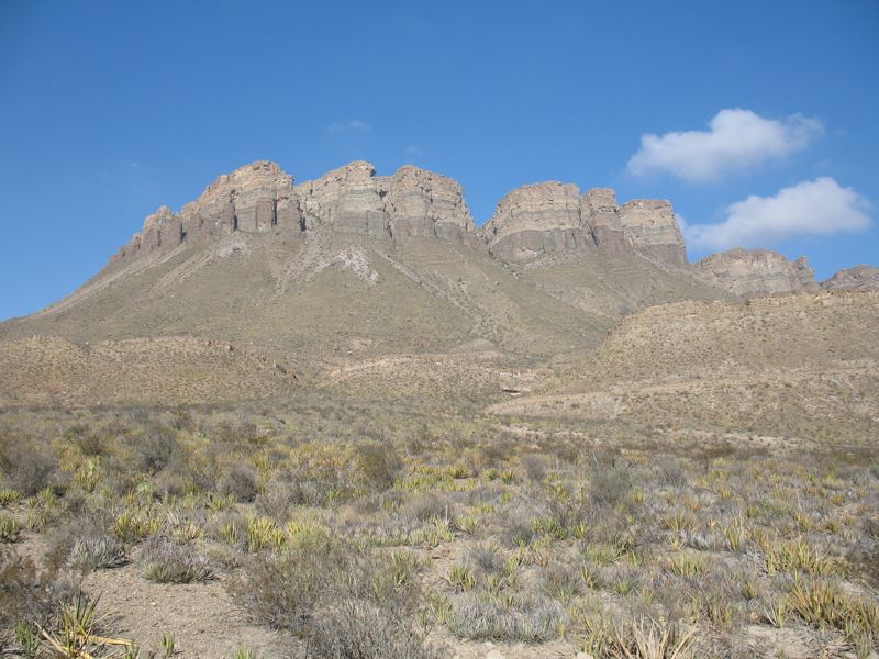 IMG_1542.JPG