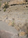 IMG_1504.JPG