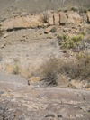 IMG_1505.JPG