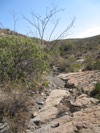 IMG_1508.JPG
