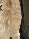 IMG_1509.JPG