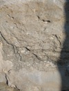 IMG_1523.JPG
