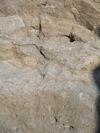 IMG_1524.JPG