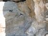 IMG_1527.JPG