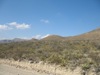 IMG_1540.JPG