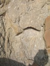 IMG_1416.JPG
