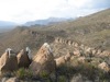 IMG_1448.JPG