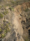 IMG_1454.JPG