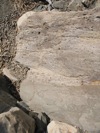 IMG_1476.JPG