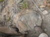 IMG_1400.JPG
