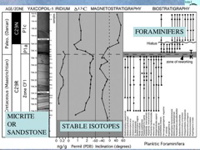 Slide26
