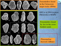 Slide29