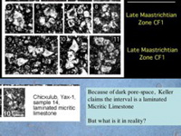 Slide35