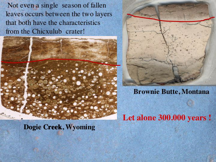 Slide17