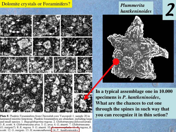Slide4
